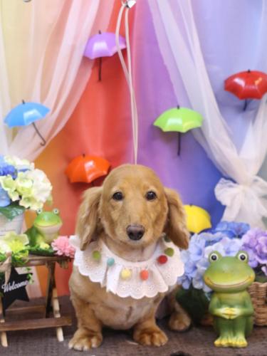 20230615レオンくん